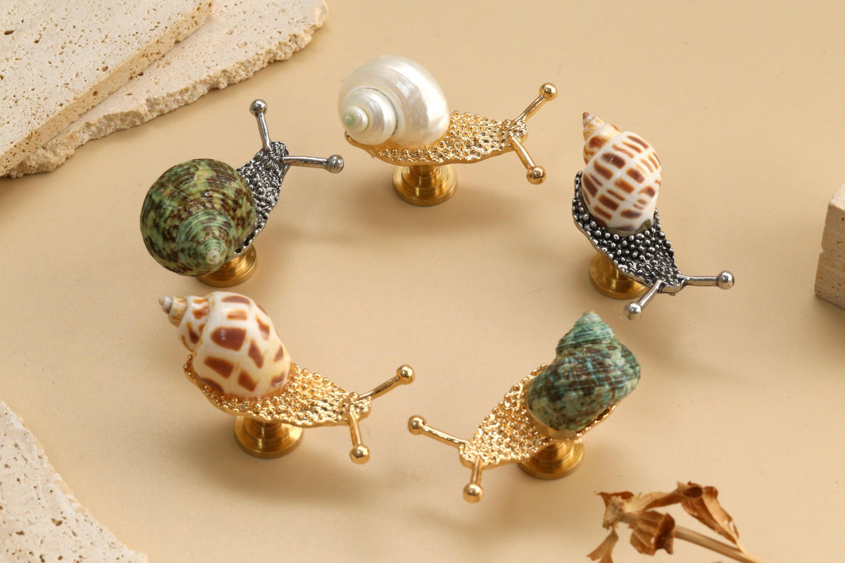 Nautilus shell drawer knob, nautilus shell cabinet knob, unique knob, decorative shell cupboard knob,nautilus brass knob