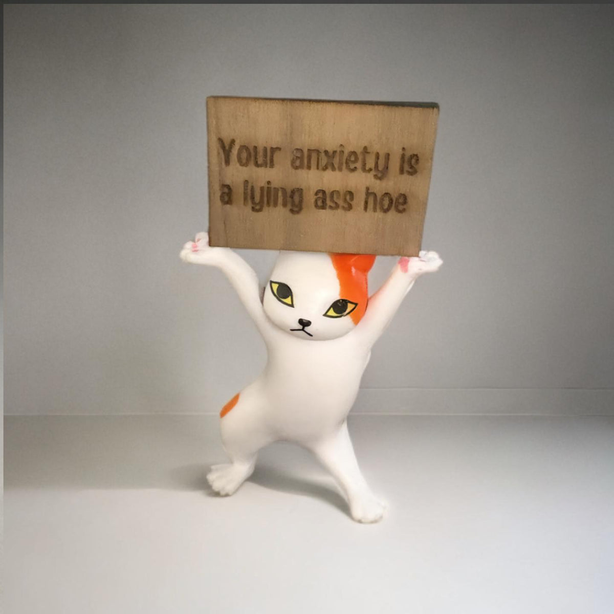 Funny Cat Figurine Your Anxiety Is a Lying Ass Sassy Mental Health Gift Blunt Affirmation Decor Anxiety Relief Self Care Desk Cat