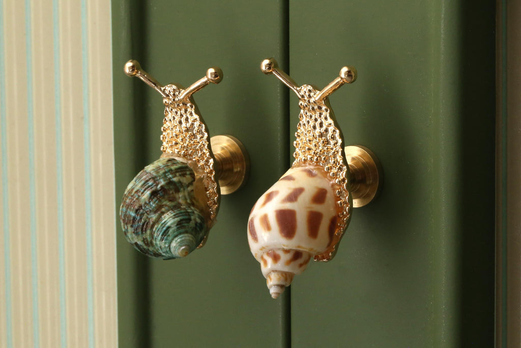 Nautilus shell drawer knob, nautilus shell cabinet knob, unique knob, decorative shell cupboard knob,nautilus brass knob
