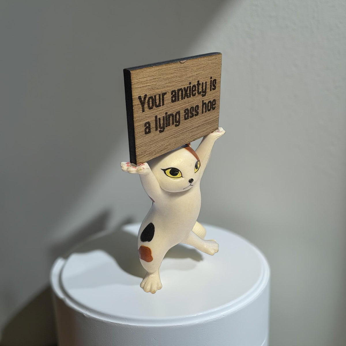 Funny Cat Figurine Your Anxiety Is a Lying Ass Sassy Mental Health Gift Blunt Affirmation Decor Anxiety Relief Self Care Desk Cat