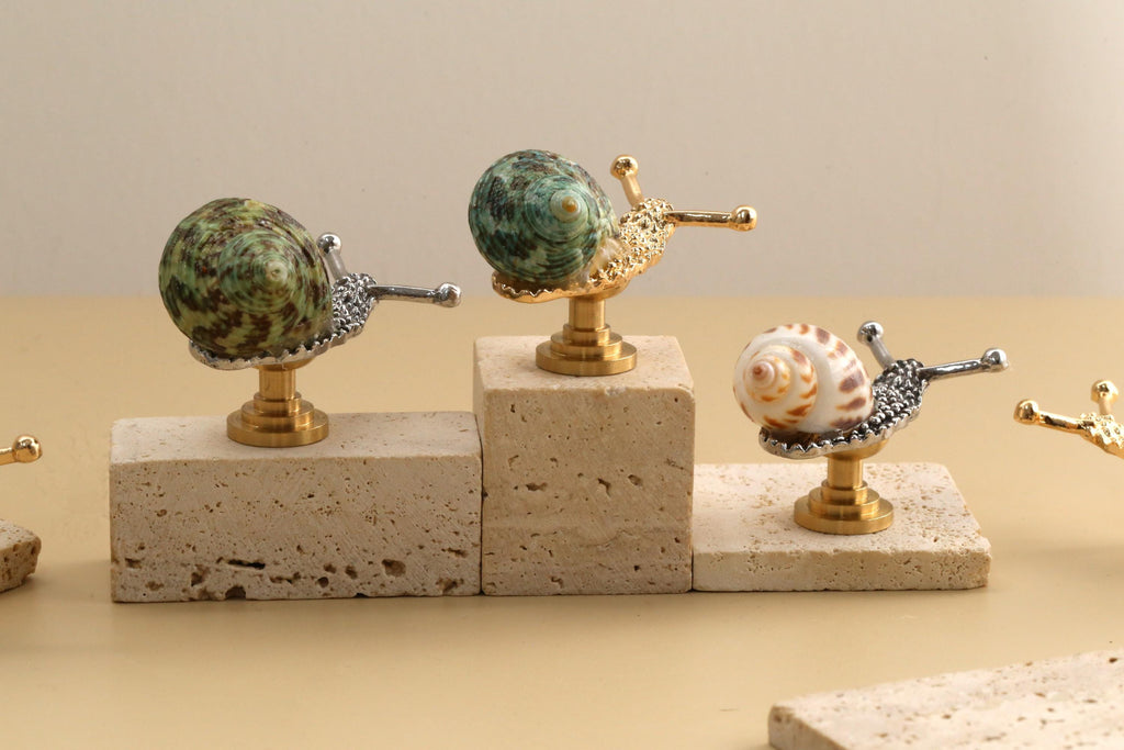 Nautilus shell drawer knob, nautilus shell cabinet knob, unique knob, decorative shell cupboard knob,nautilus brass knob