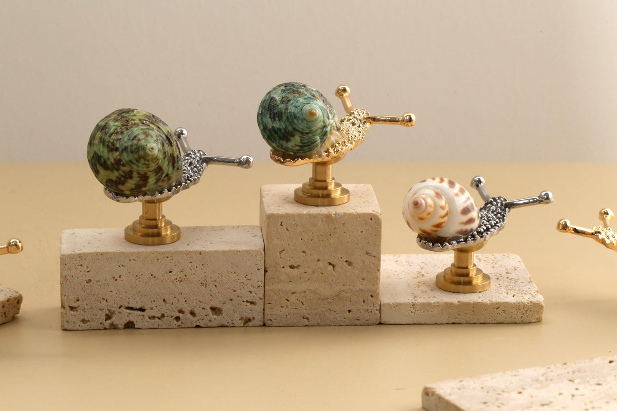 Nautilus shell drawer knob, nautilus shell cabinet knob, unique knob, decorative shell cupboard knob,nautilus brass knob