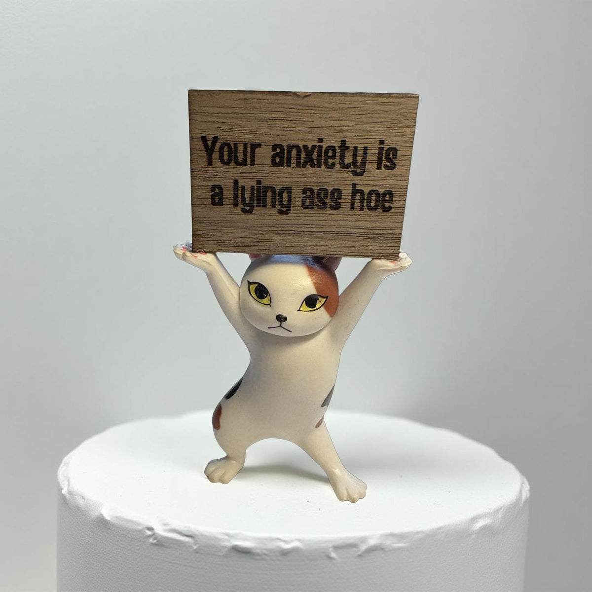 Funny Cat Figurine Your Anxiety Is a Lying Ass Sassy Mental Health Gift Blunt Affirmation Decor Anxiety Relief Self Care Desk Cat
