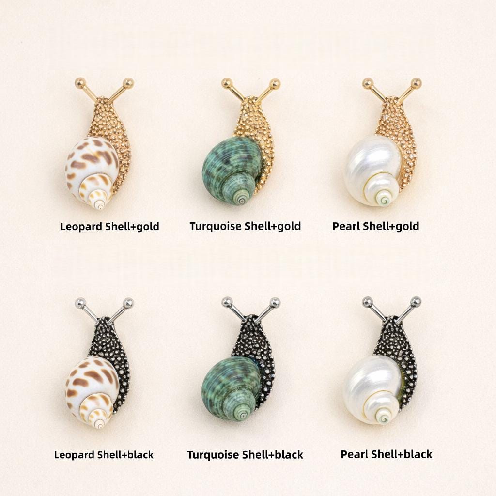Nautilus shell drawer knob, nautilus shell cabinet knob, unique knob, decorative shell cupboard knob,nautilus brass knob